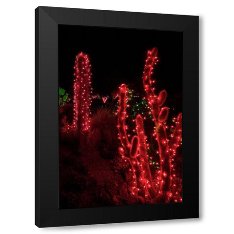 Holiday Cactus I Black Modern Wood Framed Art Print with Double Matting by Crane, Rita