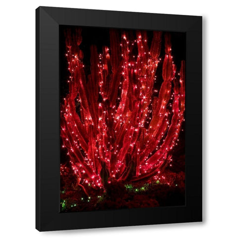 Holiday Cactus II Black Modern Wood Framed Art Print by Crane, Rita