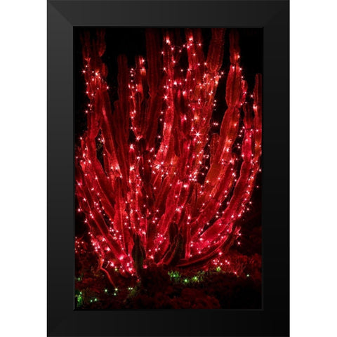 Holiday Cactus II Black Modern Wood Framed Art Print by Crane, Rita