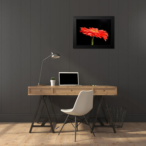 Gerber Angle V Black Modern Wood Framed Art Print by Christensen, Jim