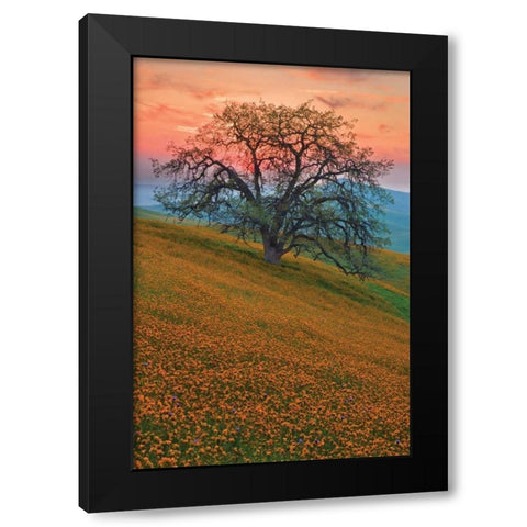 Rancheria Black Modern Wood Framed Art Print with Double Matting by Geistweite, Mark