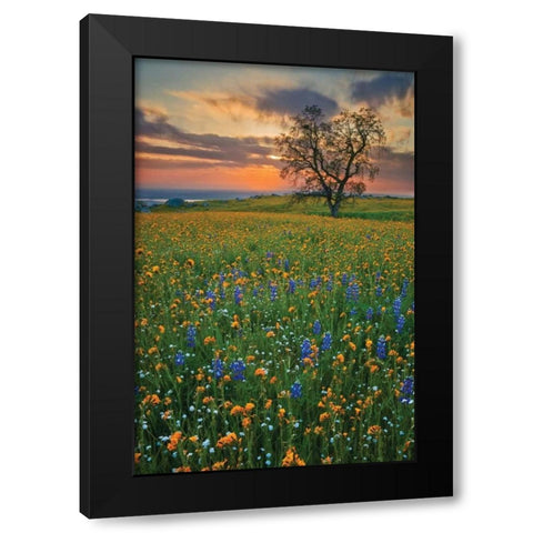 Bear Mountain Black Modern Wood Framed Art Print with Double Matting by Geistweite, Mark