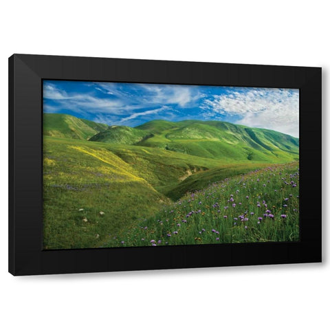Wind Wolves Black Modern Wood Framed Art Print with Double Matting by Geistweite, Mark