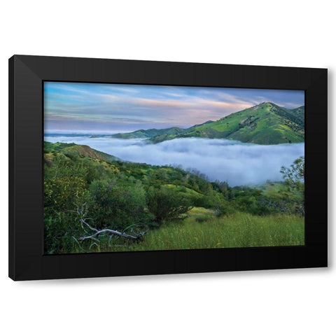 Figueroa Black Modern Wood Framed Art Print with Double Matting by Geistweite, Mark