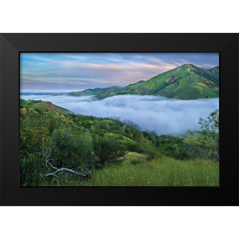Figueroa Black Modern Wood Framed Art Print by Geistweite, Mark