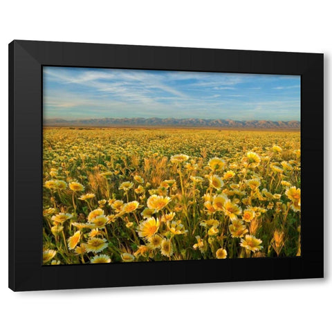 Carrizo I Black Modern Wood Framed Art Print by Geistweite, Mark