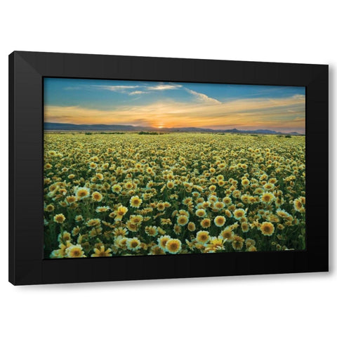 Carrizo II Black Modern Wood Framed Art Print by Geistweite, Mark