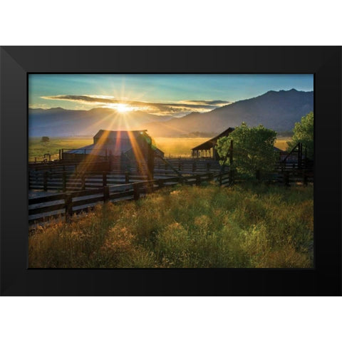 Walker Basin II Black Modern Wood Framed Art Print by Geistweite, Mark
