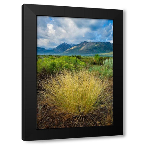 Eastern Sierra IV Black Modern Wood Framed Art Print with Double Matting by Geistweite, Mark