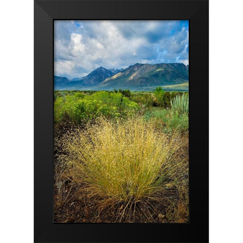 Eastern Sierra IV Black Modern Wood Framed Art Print by Geistweite, Mark