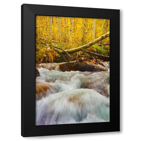 Autumn Brook Black Modern Wood Framed Art Print by Geistweite, Mark