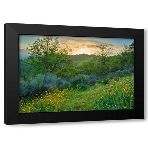Caliente Spring I Black Modern Wood Framed Art Print by Geistweite, Mark