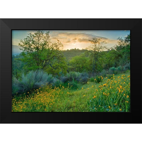 Caliente Spring I Black Modern Wood Framed Art Print by Geistweite, Mark