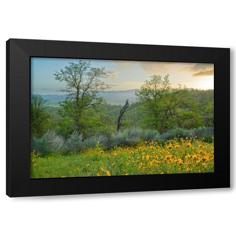 Caliente Spring II Black Modern Wood Framed Art Print by Geistweite, Mark