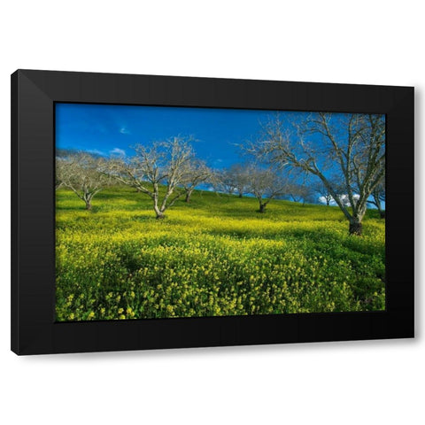 Mustard Factory I Black Modern Wood Framed Art Print by Geistweite, Mark