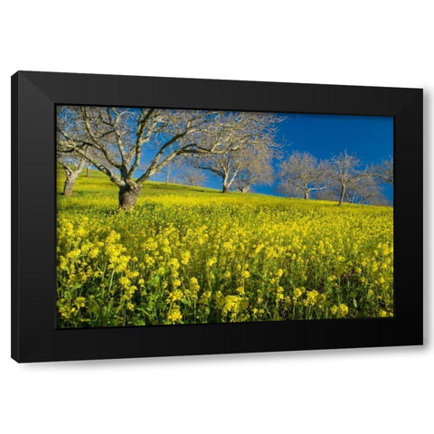 Mustard Factory II Black Modern Wood Framed Art Print by Geistweite, Mark