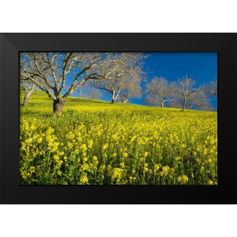 Mustard Factory II Black Modern Wood Framed Art Print by Geistweite, Mark