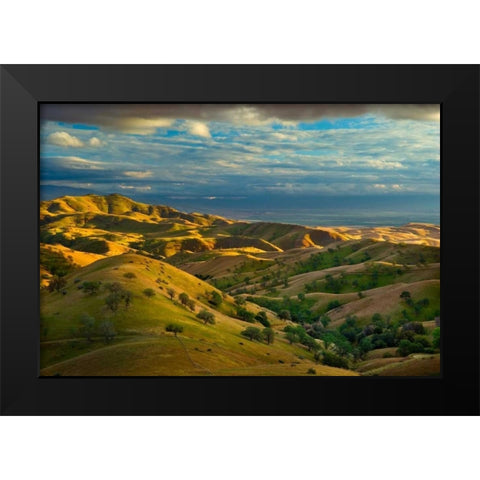 Spring Exodus Black Modern Wood Framed Art Print by Geistweite, Mark