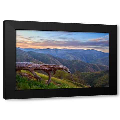 Pastel in Nature I Black Modern Wood Framed Art Print with Double Matting by Geistweite, Mark