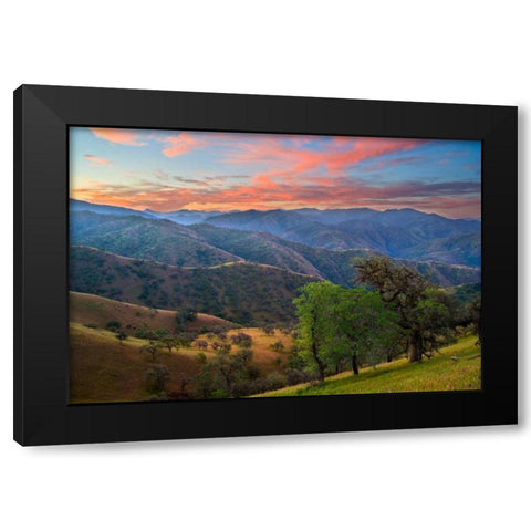 Pastel in Nature II Black Modern Wood Framed Art Print by Geistweite, Mark