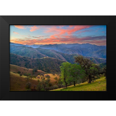 Pastel in Nature II Black Modern Wood Framed Art Print by Geistweite, Mark