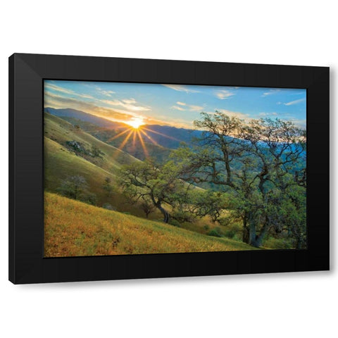 Spring Sunburst I Black Modern Wood Framed Art Print by Geistweite, Mark