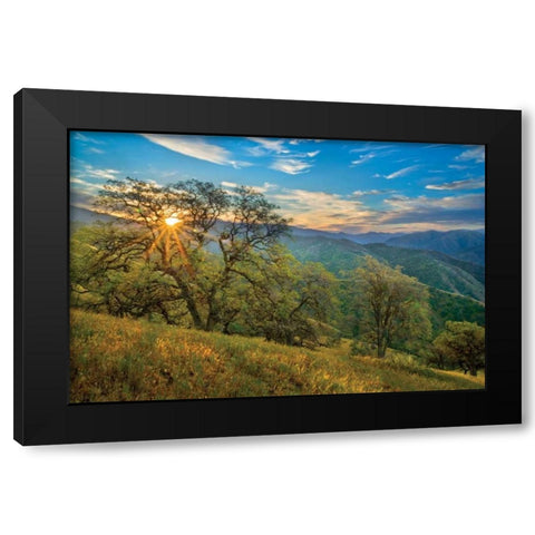 Spring Sunburst II Black Modern Wood Framed Art Print with Double Matting by Geistweite, Mark