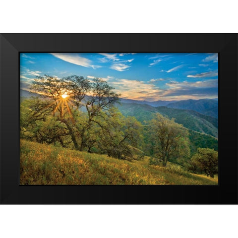 Spring Sunburst II Black Modern Wood Framed Art Print by Geistweite, Mark