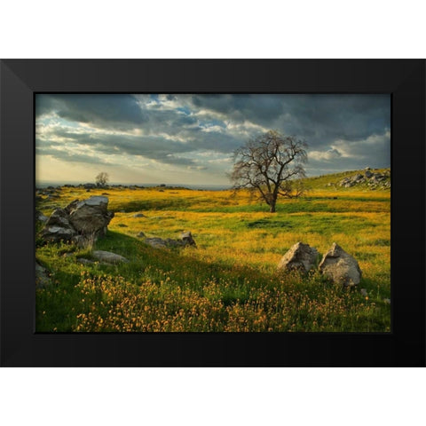 Summer Sun Black Modern Wood Framed Art Print by Geistweite, Mark