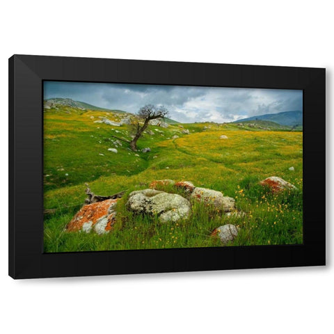 Trail Northward Black Modern Wood Framed Art Print with Double Matting by Geistweite, Mark
