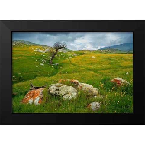 Trail Northward Black Modern Wood Framed Art Print by Geistweite, Mark