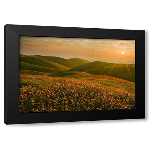 Spring Riot I Black Modern Wood Framed Art Print by Geistweite, Mark