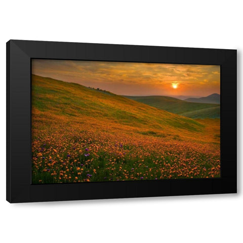 Spring Riot II Black Modern Wood Framed Art Print with Double Matting by Geistweite, Mark