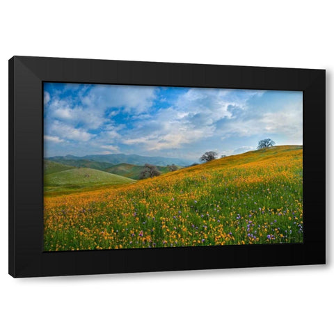 Sprung I Black Modern Wood Framed Art Print by Geistweite, Mark