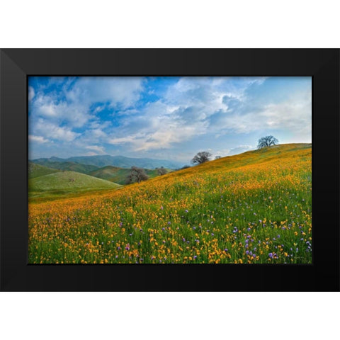 Sprung I Black Modern Wood Framed Art Print by Geistweite, Mark