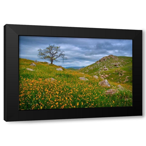 Sprung II Black Modern Wood Framed Art Print by Geistweite, Mark