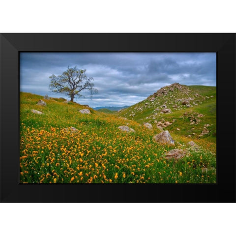 Sprung II Black Modern Wood Framed Art Print by Geistweite, Mark