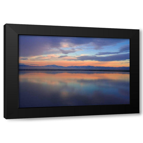 Watercolor II Black Modern Wood Framed Art Print by Geistweite, Mark