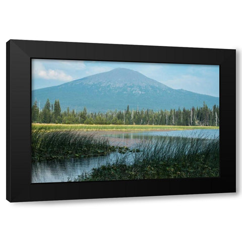 Bachelor in Summer Black Modern Wood Framed Art Print with Double Matting by Hellmann, Stan