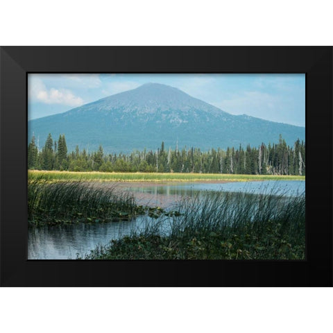 Bachelor in Summer Black Modern Wood Framed Art Print by Hellmann, Stan
