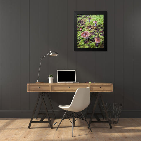Mushrooms Black Modern Wood Framed Art Print by Hellmann, Stan