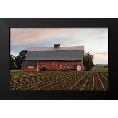 Mt. Angel Barn Black Modern Wood Framed Art Print by Hellmann, Stan