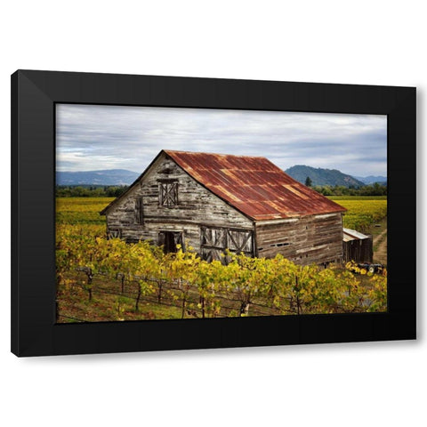 Sonoma Barn Black Modern Wood Framed Art Print with Double Matting by Hellmann, Stan