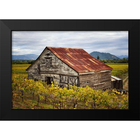 Sonoma Barn Black Modern Wood Framed Art Print by Hellmann, Stan