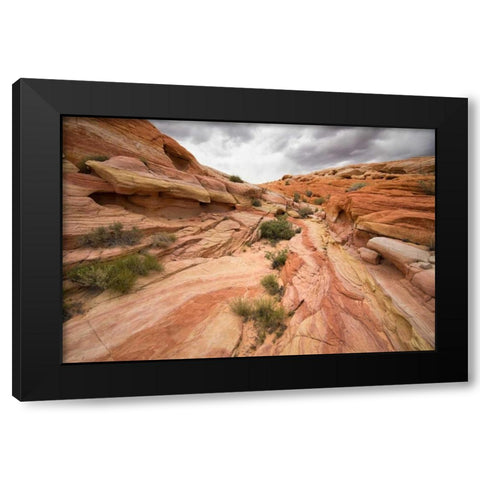 Valley of Fire I Black Modern Wood Framed Art Print with Double Matting by Hellmann, Stan