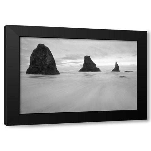 Bandon BW Black Modern Wood Framed Art Print by Hellmann, Stan