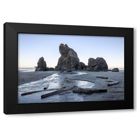 Ruby Beach Morning I Black Modern Wood Framed Art Print by Hellmann, Stan