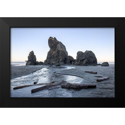 Ruby Beach Morning I Black Modern Wood Framed Art Print by Hellmann, Stan