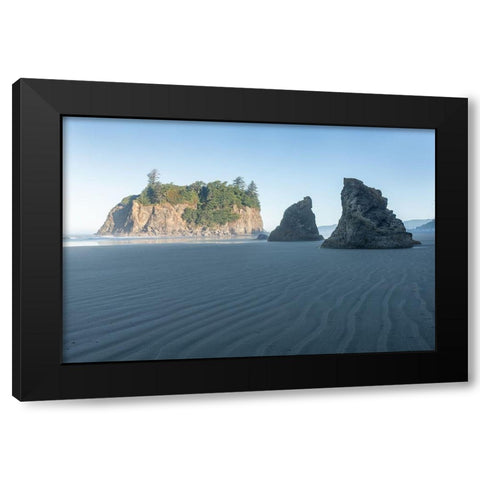 Ruby Beach Morning II Black Modern Wood Framed Art Print by Hellmann, Stan