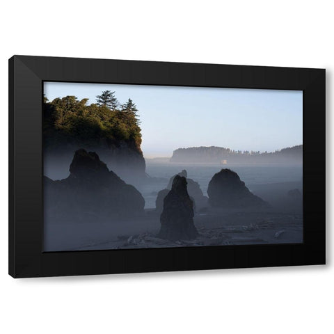 Ruby Beach Morning III Black Modern Wood Framed Art Print by Hellmann, Stan